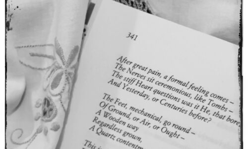 Versi della poetessa misteriosa: Emily Dickinson